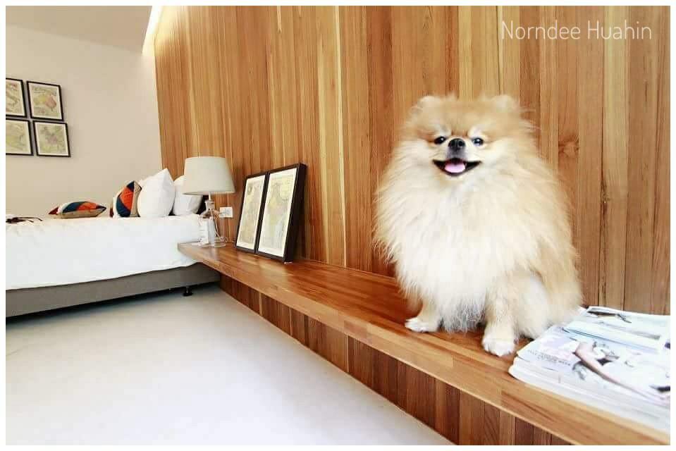 Norndee Hotel Hua Hin Ngoại thất bức ảnh